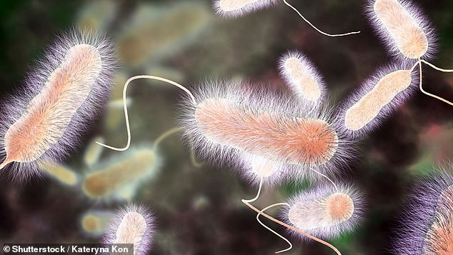 Legionnaires' disease cases surge across US states due to AC moisture.