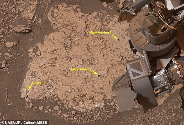 NASA Curiosity Rover Detects DNA Precursors and Sulfur Compounds on Mars