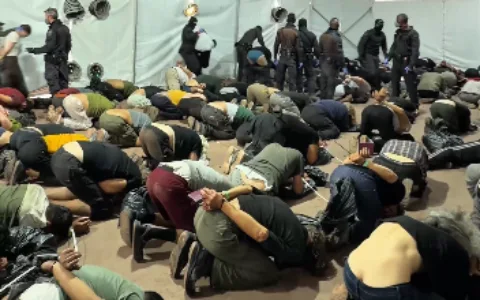 Israel officially deported hundreds of pro-Palestinian activists after abuse allegations.