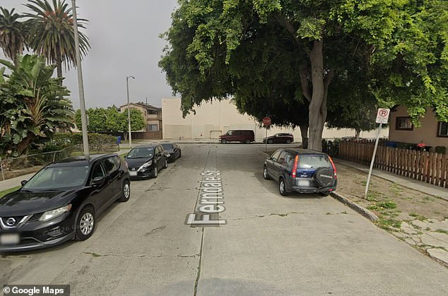 Police Issue Amber Alert for 4-Year-Old Girl Vanished After Mother's Murder in LA