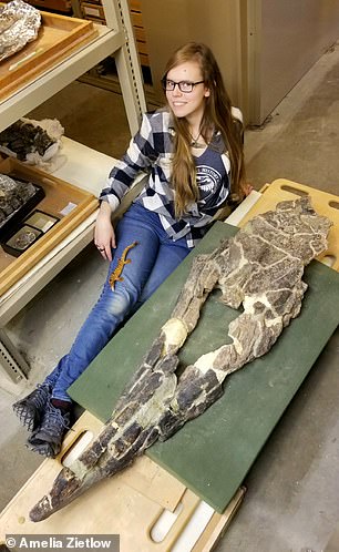 Scientists Discover Massive 43-Foot Marine Predator Called Tylosaurus Rex